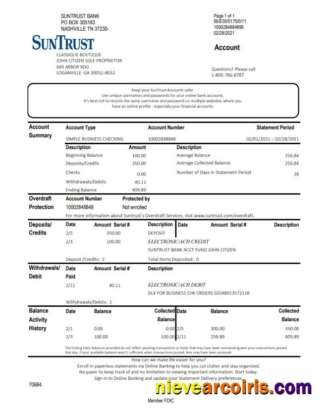USA Georgia SunTrust bank statement in Excel and PDF format